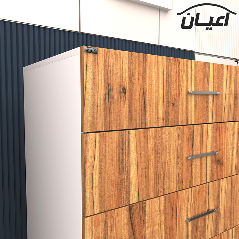 دراور اعیان مدل FH8