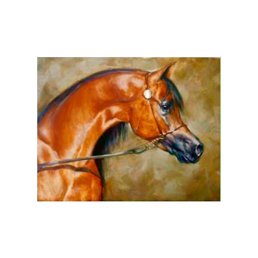 تابلو نقاشی رنگ روغن مدل اسب عربی کد 1