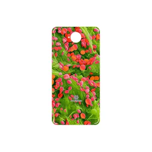 MAHOOT Atom Universe 3 Cover Sticker for Microsoft Lumia 650