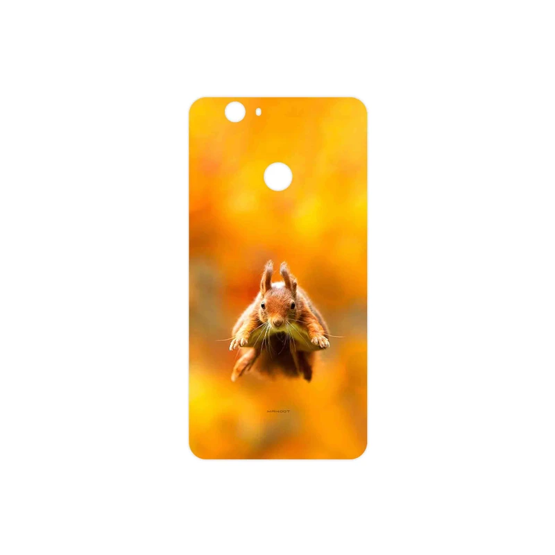 برچسب پوششی ماهوت مدل Squirrel مناسب برای گوشی موبایل هوآوی Nova