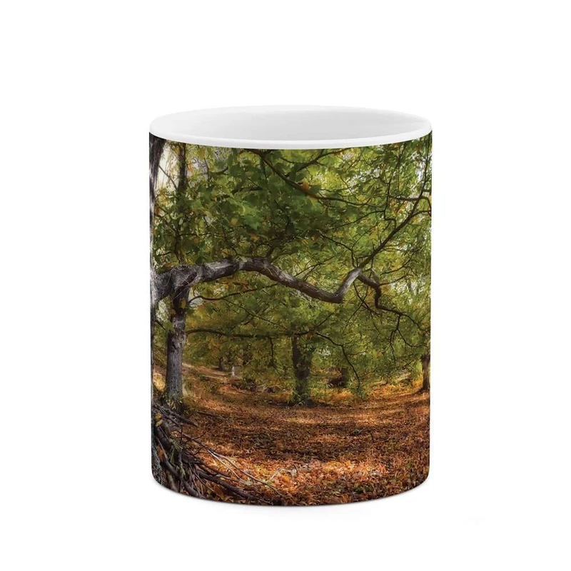 ماگ کاکتی مدل درختان کد mgh10238