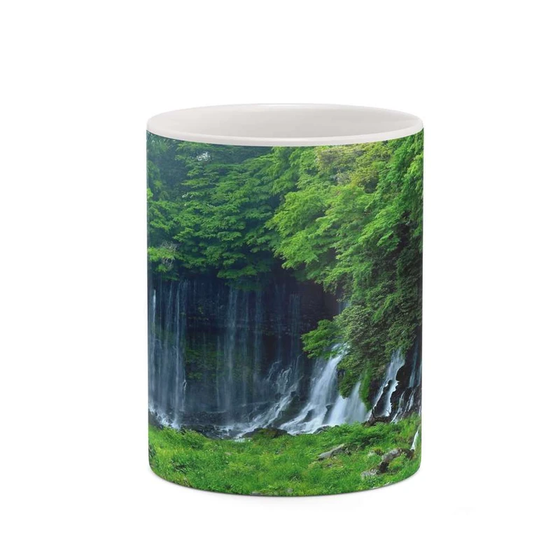 ماگ کاکتی مدل منظره کد mgh18249