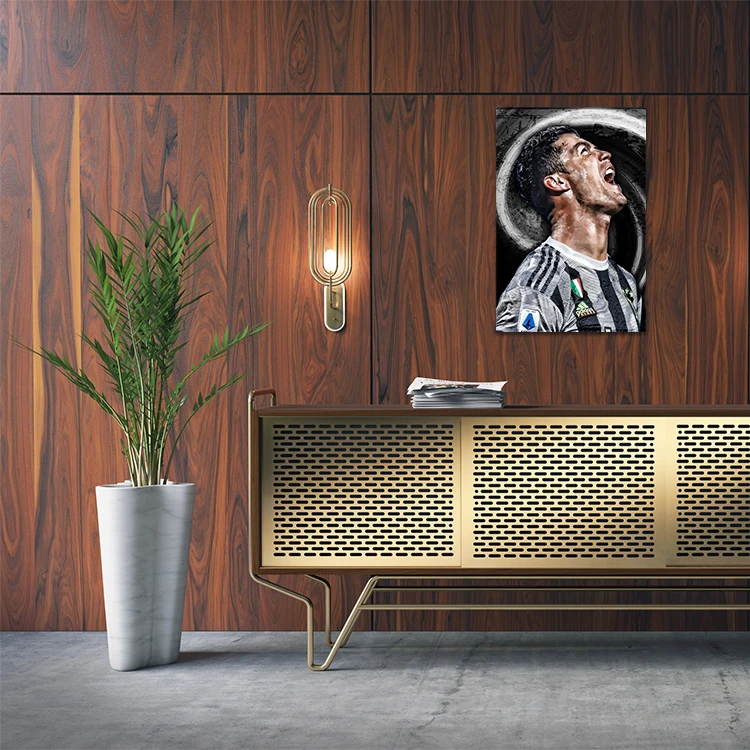 تابلو شاسی مدل رونالدو کد 446