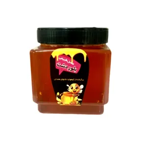 عسل گل گشنیز بلور دشت - 1000 گرم