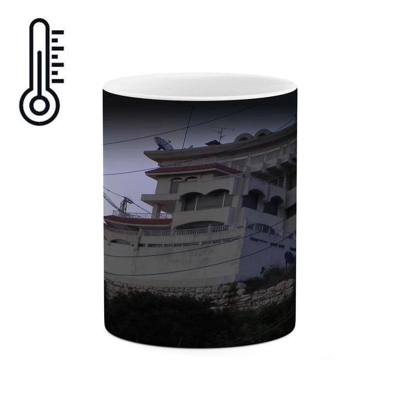 ماگ حرارتی کاکتی مدل خانه کد mgh11234