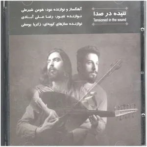 آلبوم موسیقی تنیده در صدا اثر هومن شیرعلی و رضا علی آبادی