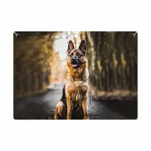 MAHOOT Dog-1 Cover Sticker for Lenovo Miix 320 2017