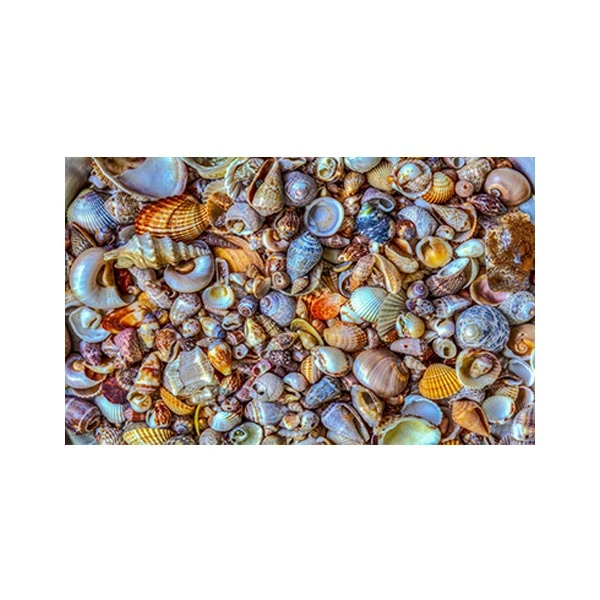   پادری مدل خانه و کاشانه کد M35M001-MP0222 سایز 76x46 سانتی متر