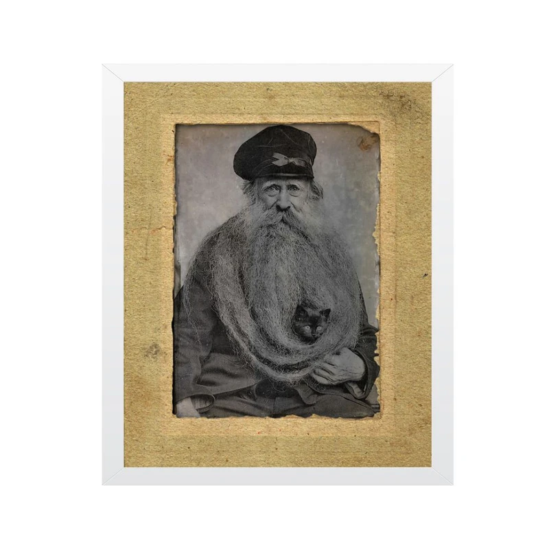 تابلو مدل چاپ رترو هنر پرتره با تصویر گربه در ریش