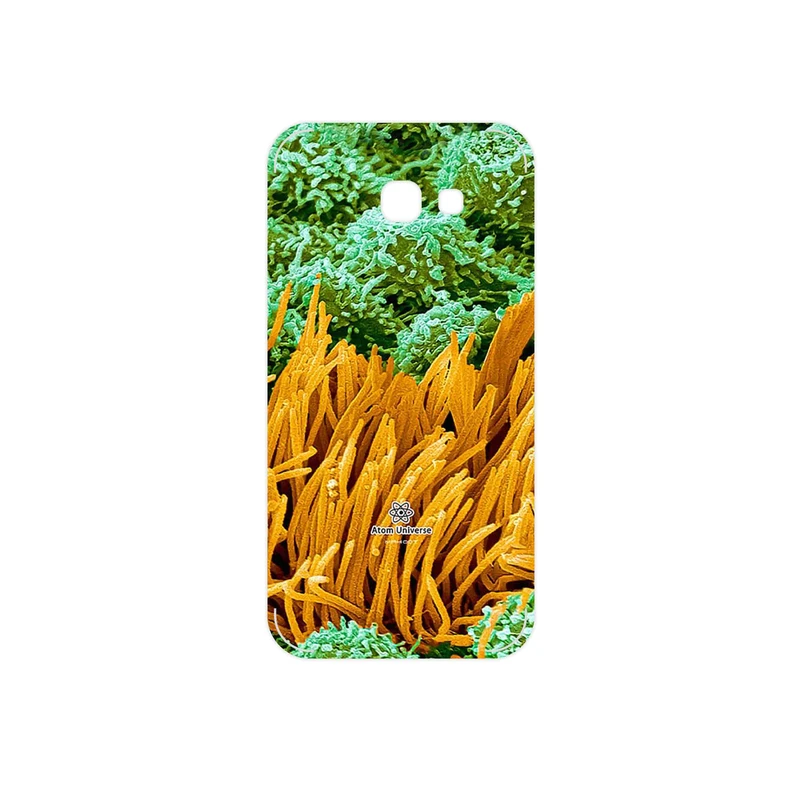 برچسب پوششی ماهوت مدل Atom Universe 6 مناسب برای گوشی موبایل سامسونگ Galaxy A5 2017