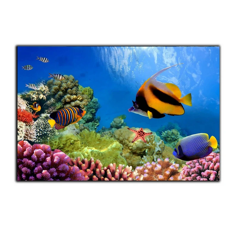 تابلو شاسی بکلیت طرح اقیانوس فرشته ماهی مدل SH-7480