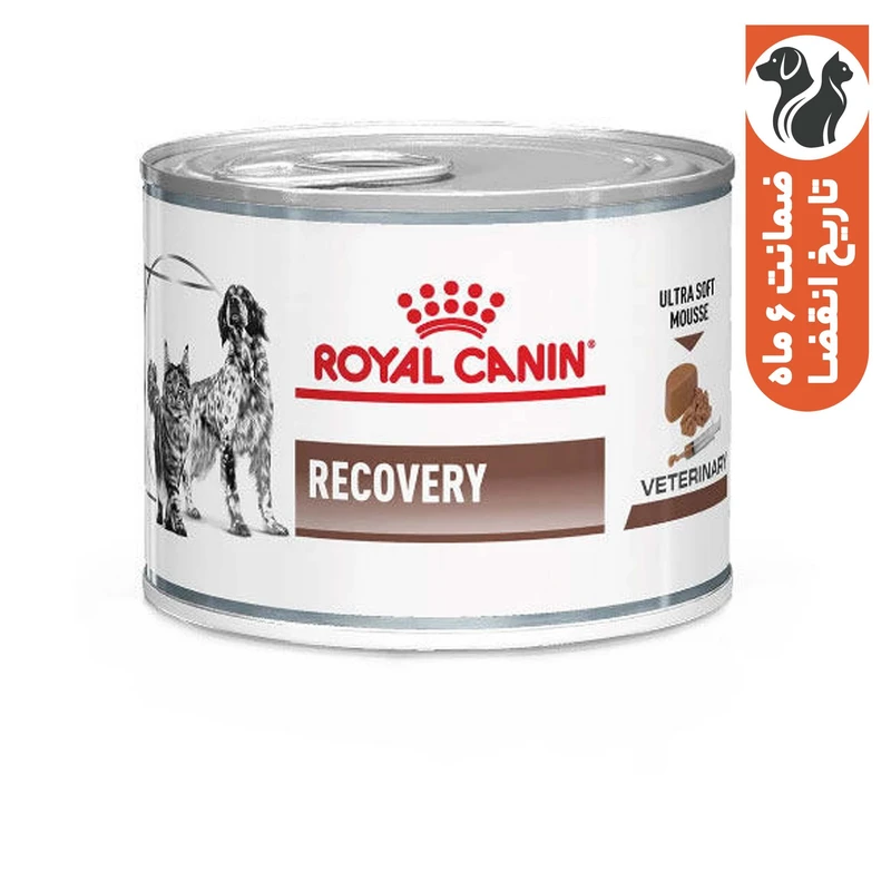 کنسرو سگ رویال کنین مدل ریکاوری وزن 2340 گرم بسته 12 عددی