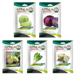بذر کلم و کاهو گلبرگ پامچال کد G-P-GP-05 مجموعه 5 عددی