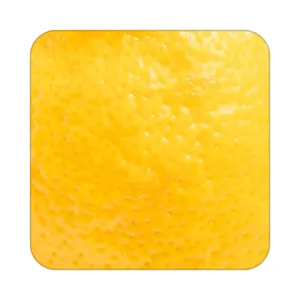 زیر لیوانی کاکتی طرح میوه مدل mp21562