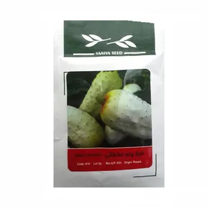 بذر خیار چنبر سلطانی وانیا سید کد k16