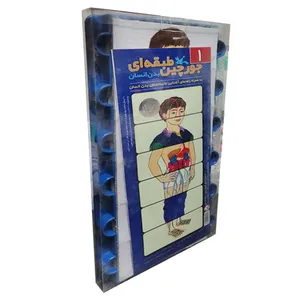 بازی آموزشی مدل جورچین طبقه ای بدن انسان