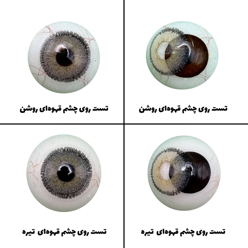 لنز چشم رویال ویژن مدل GRAFIT کد 13 رنگ طوسی سبز طبیعی دور دار