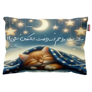 بالش پاد آفرین مدل گربه طرح اسم اشکان کد 028