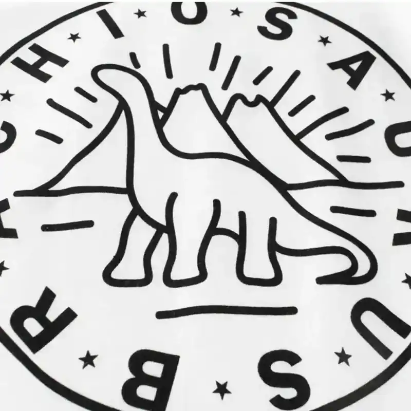 تی شرت آستین بلند پسرانه مدل MDSS-CG5502