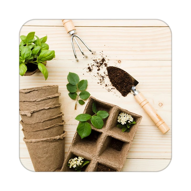 زیر لیوانی کاکتی طرح گل مدل mp19151