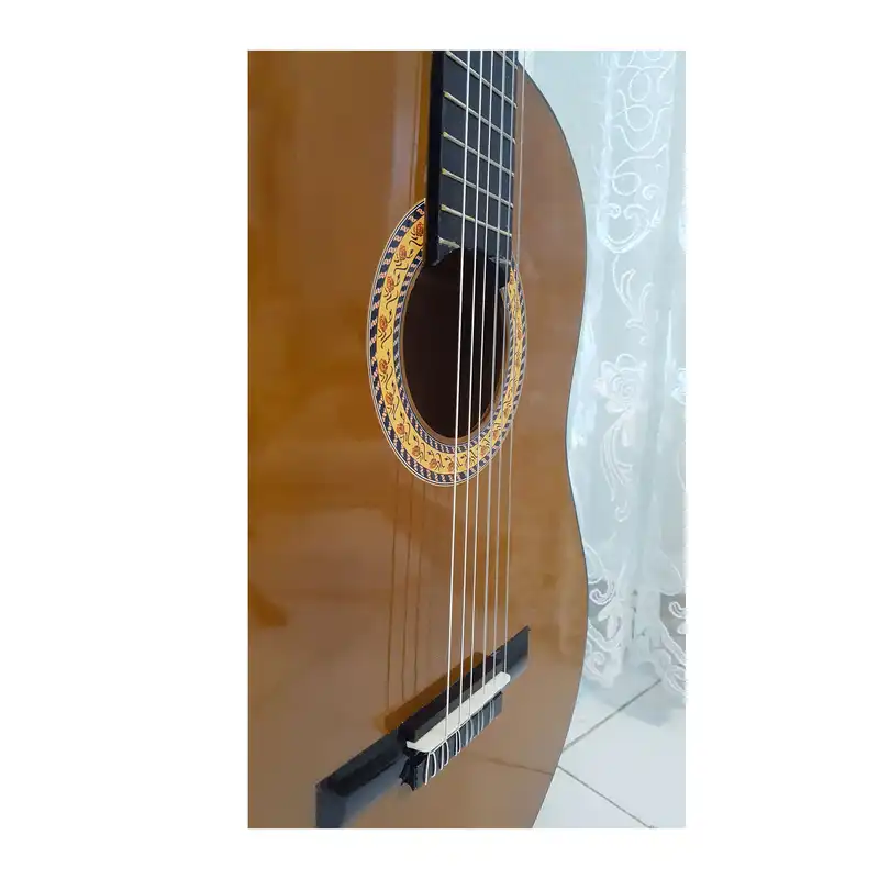 گیتار مدل C40