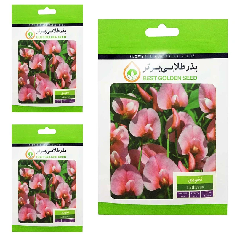 بذر گل نخودی بذر طلایی برتر کد BTB-42 مجموعه 3 عددی