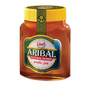 عسل مخصوص خانواده آریبال - 1450 گرم