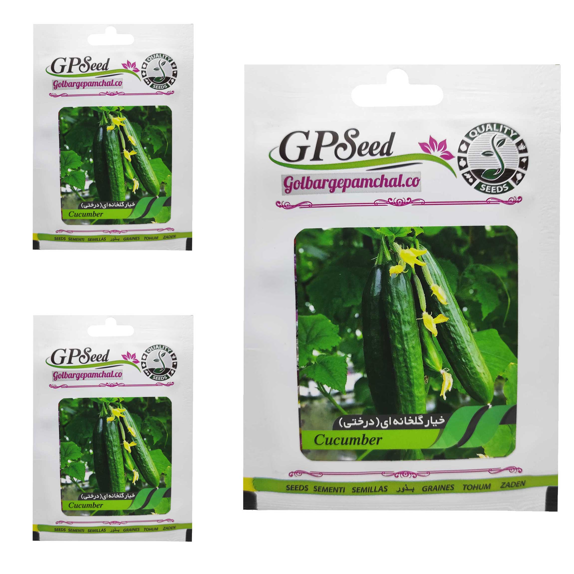 بذر خیار گلخانه ای درختی گلبرگ پامچال کد GPF-174 مجموعه 3 عددی
