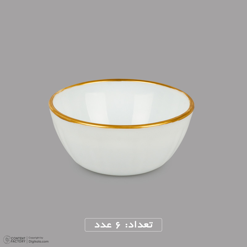 سرویس غذا خوری 25 پارچه 6 نفره لئون مدل خط طلا
