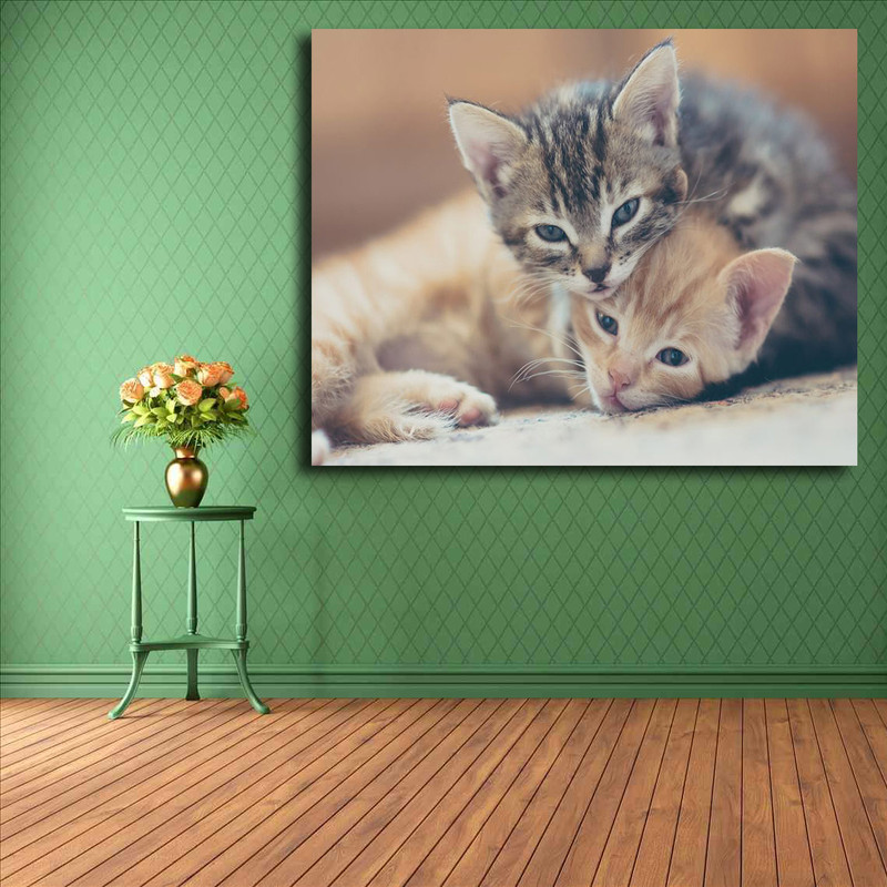 تابلو شاسی مدل گربه کد 19