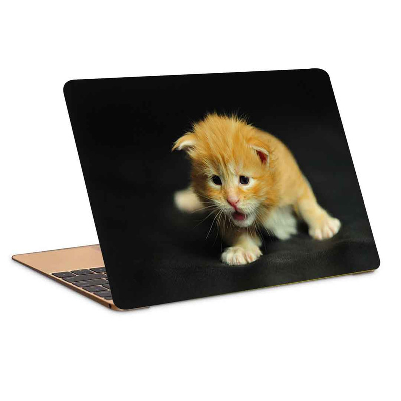 استیکر لپ تاپ  کد c-1236مناسب برای لپ تاپ 15.6 اینچ