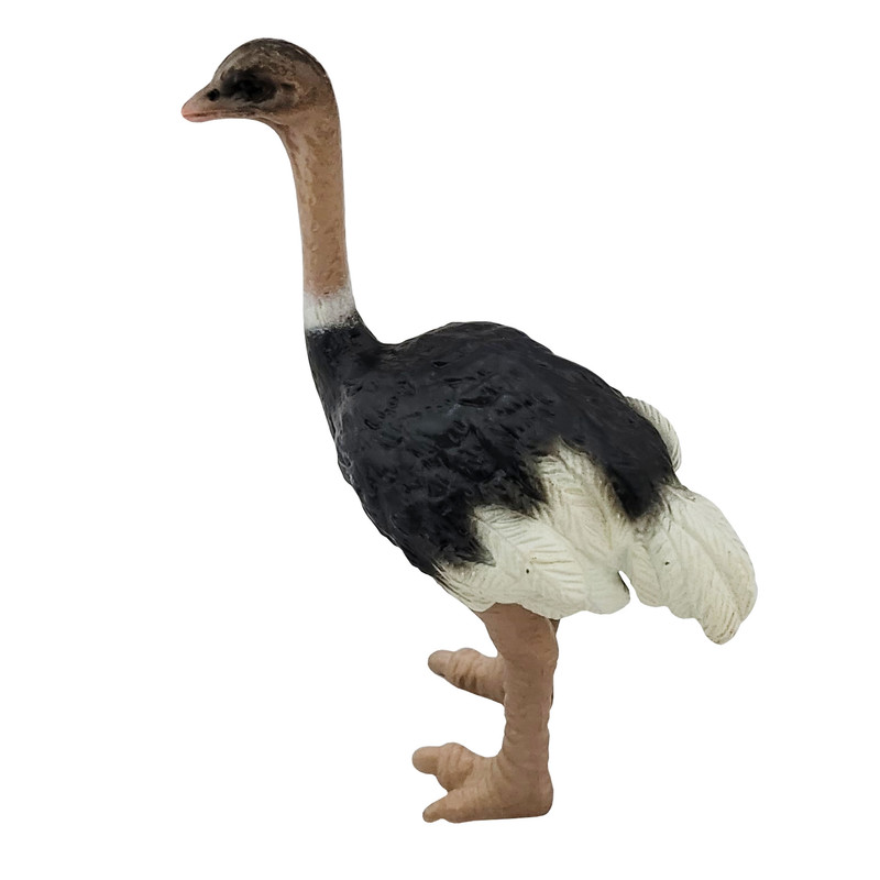 فیگور طرح حیوانات مدل شترمرغ کد 119900