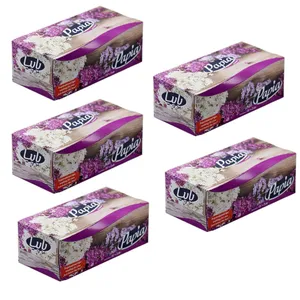 دستمال کاغذی 300 برگ پاپیا کد 05 مجموعه 5 عددی