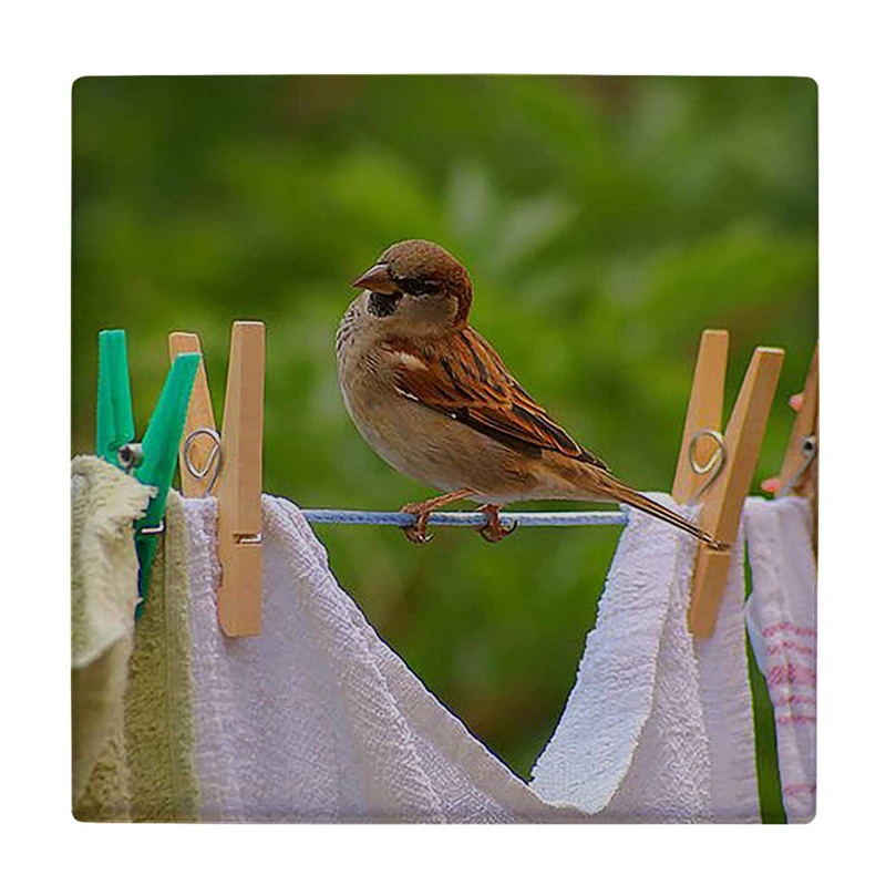 زیر لیوانی  طرح گنجشک روی بند رخت کد    6223048_5719