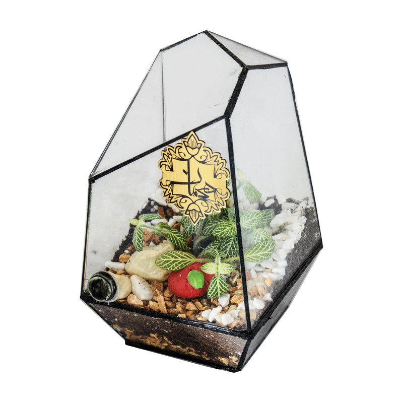 تراریوم هیمان مدل 5 ضلعی کوچک کد HV013