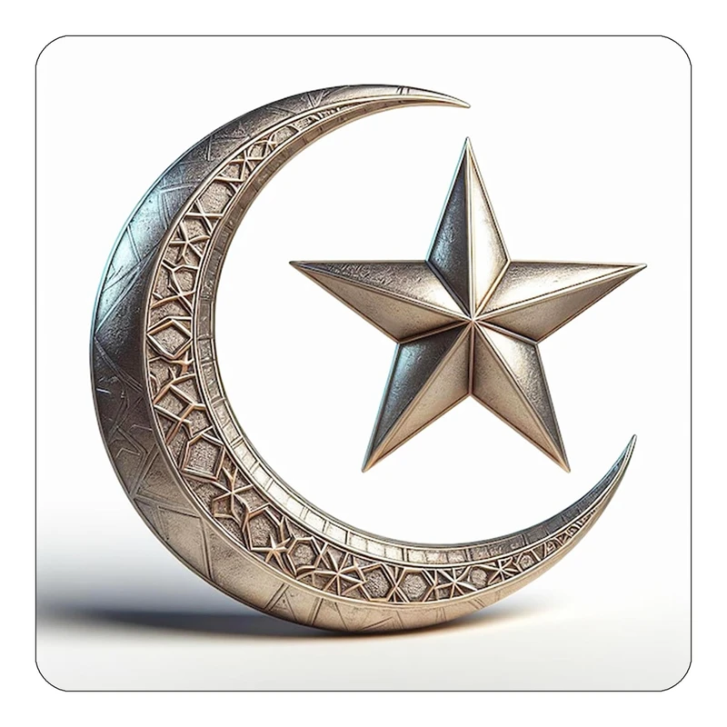 مگنت کاکتی طرح ماه و ستاره مدل mp54208
