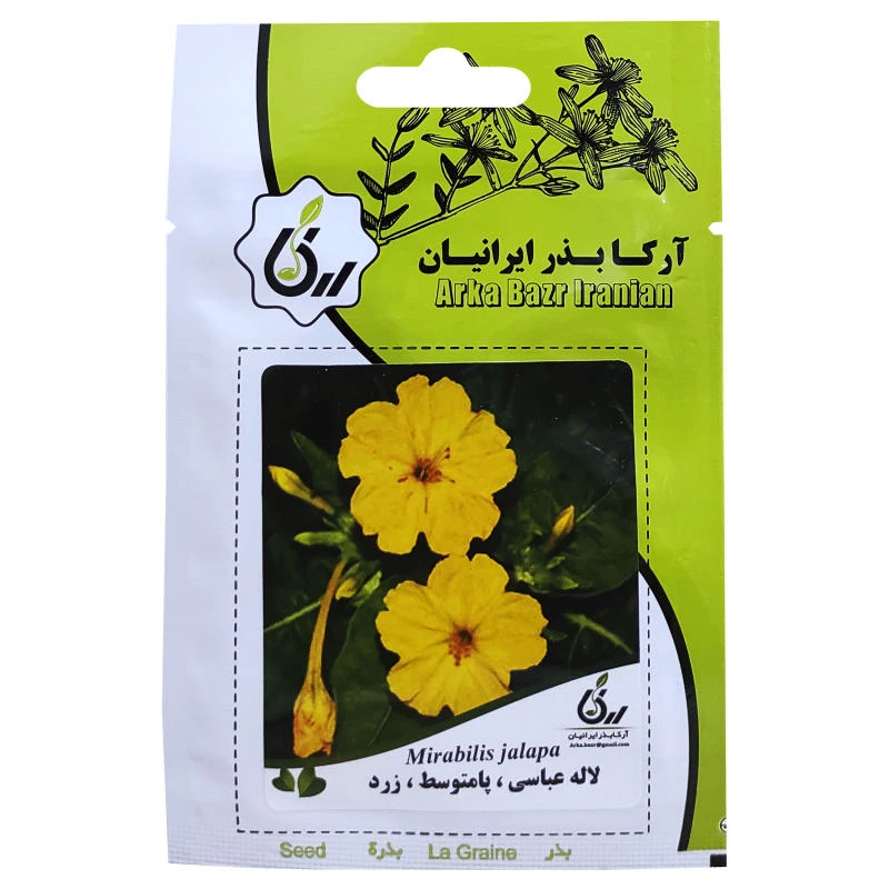بذر گل لاله عباسی پا متوسط زرد آرکا بذر ایرانیان کد A73