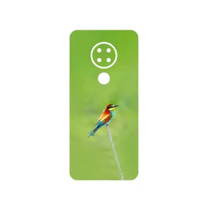 MAHOOT European bee-eater Cover Sticker for Nokia 7.2