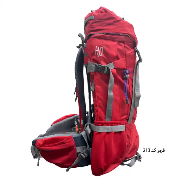 کوله پشتی کوهنوردی 45 لیتری دیوتر مدل APP-132