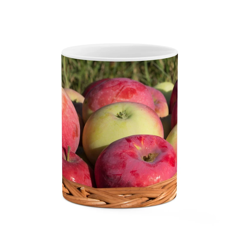 ماگ کاکتی طرح سیب کد mgp11462