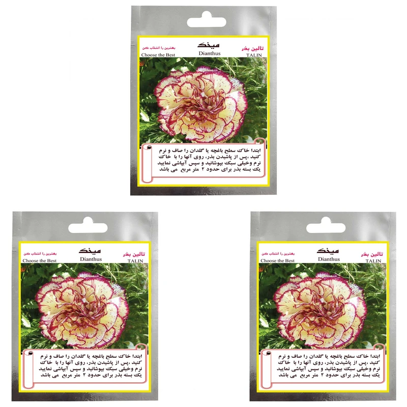بذر گل میخک صد پر تالین مدل TAL-019 مجموعه 3 عددی