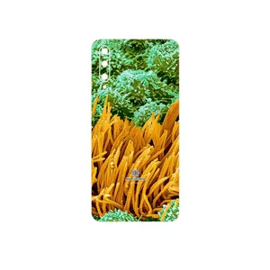 MAHOOT Atom Universe 6 Cover Sticker for Huawei Y9S