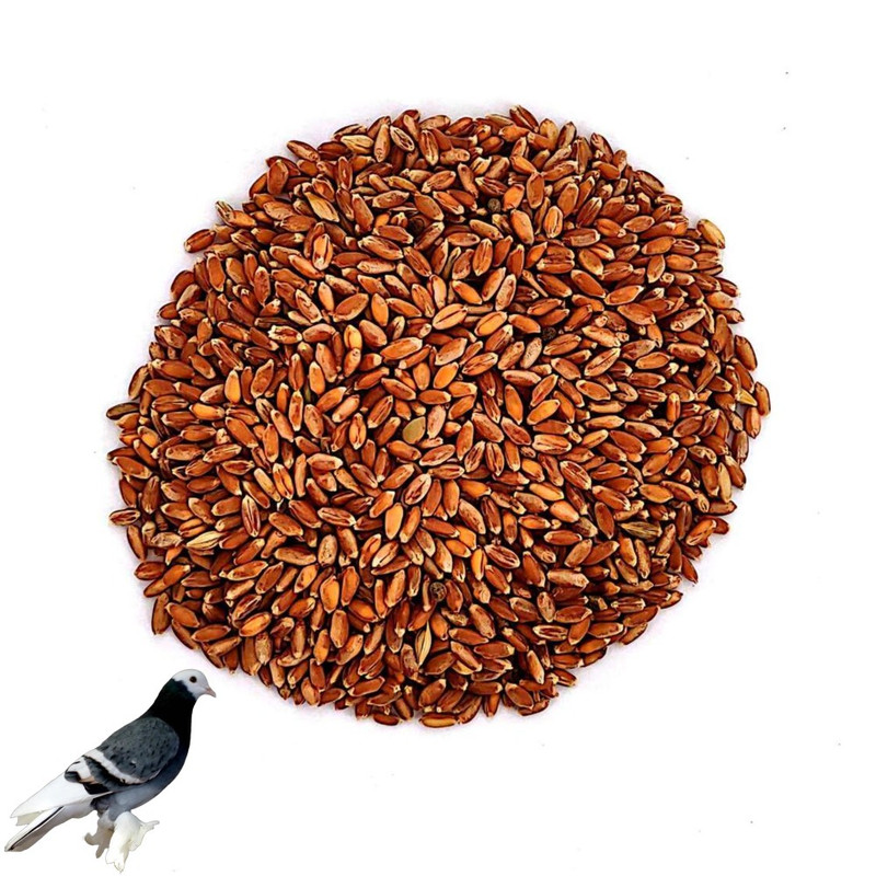 غذای پرندگان اگری گل مدل گندم Red wheat وزن 1000 گرم