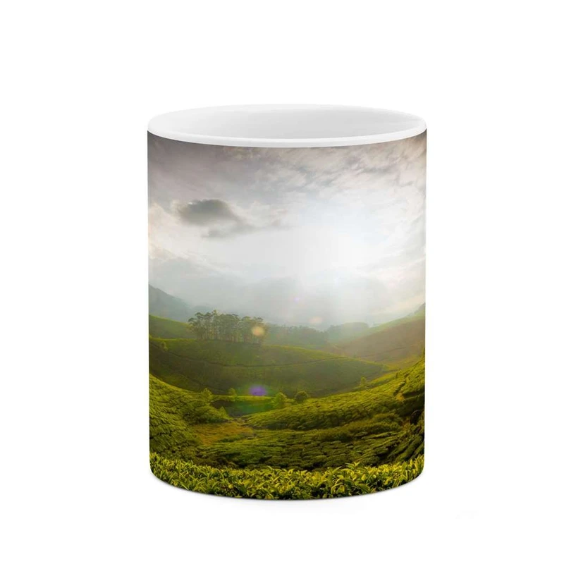 ماگ کاکتی مدل منظره کد mgh15888