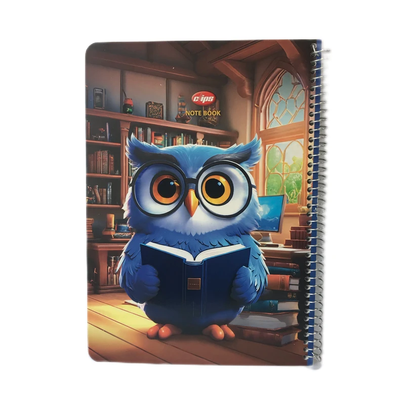 دفتر نقاشی 50 برگ کلیپس مدل سيمي طرح جغد دانا