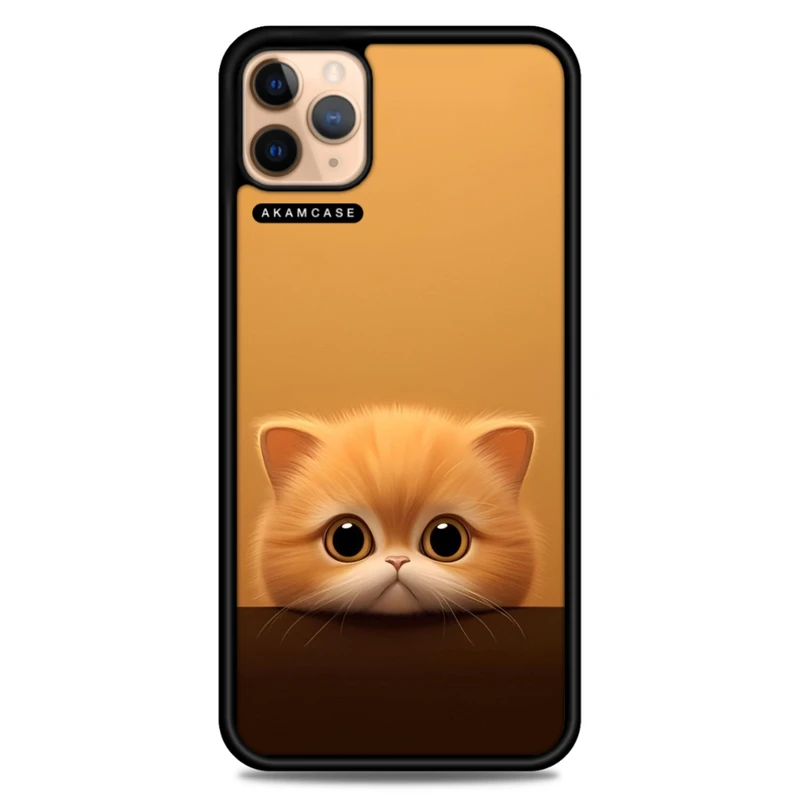 کاور آکام مدل AMC-WA11PRO-CATS16 مناسب برای گوشی موبایل اپل iPhone 11 Pro