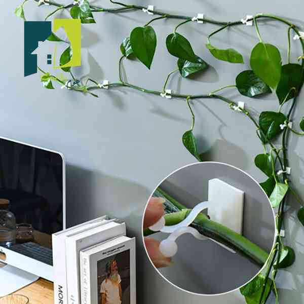 گیره مدل پتوس بسته 30 عددی