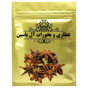 دمنوش بادیان ختایی - 75 گرم