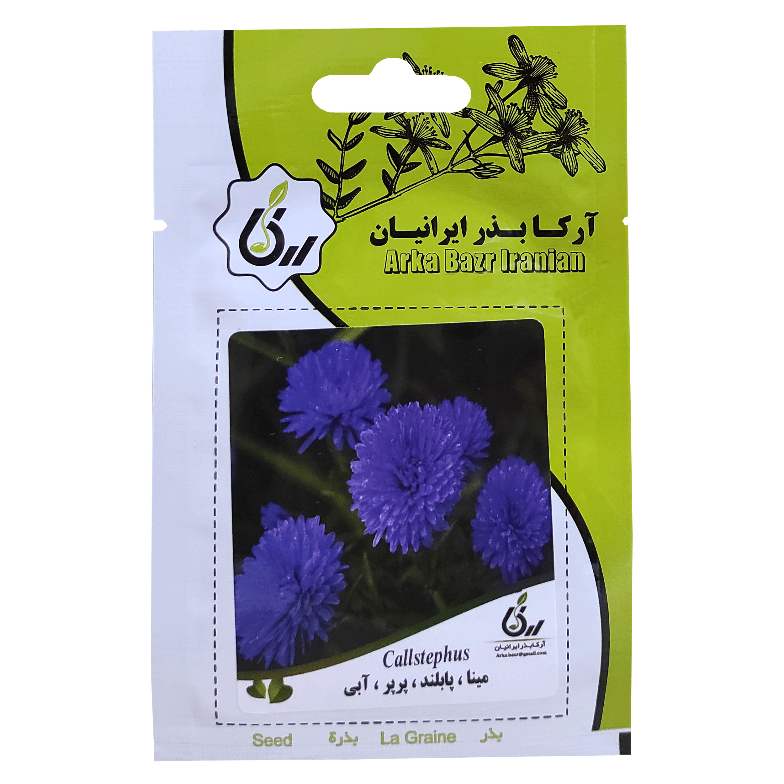 بذر گل مینا پابلند پرپر آبی آرکا بذر ایرانیان کد ARK-062
