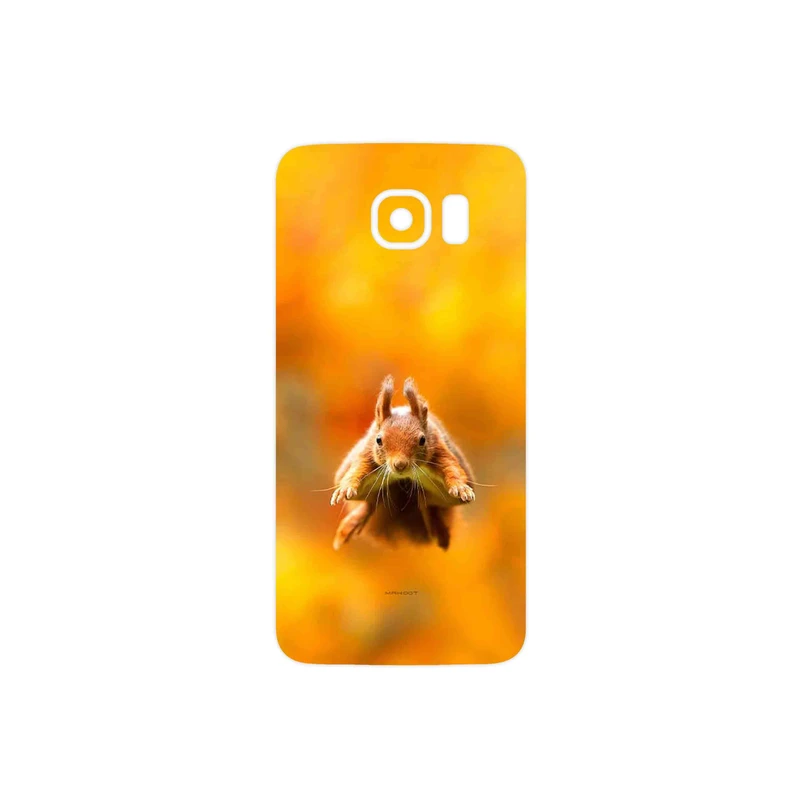 برچسب پوششی ماهوت مدل Squirrel مناسب برای گوشی موبایل سامسونگ Galaxy S6